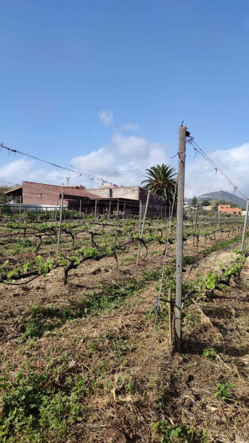  en venta finca rústica El Infierno Zona Metropolitana 8