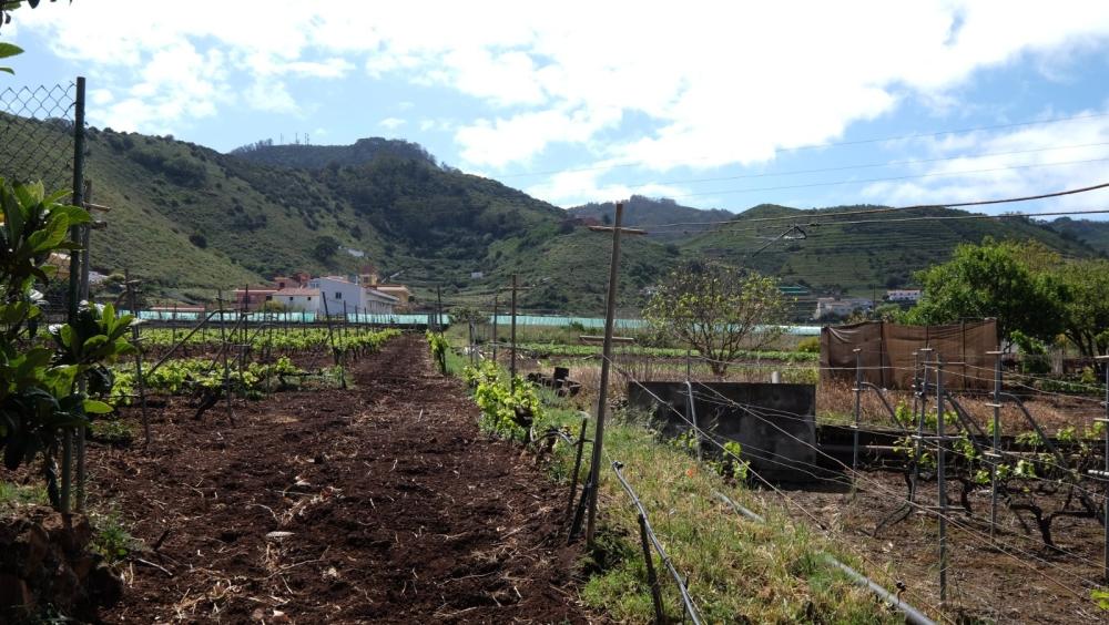  en venta finca rústica El Infierno Zona Metropolitana 2