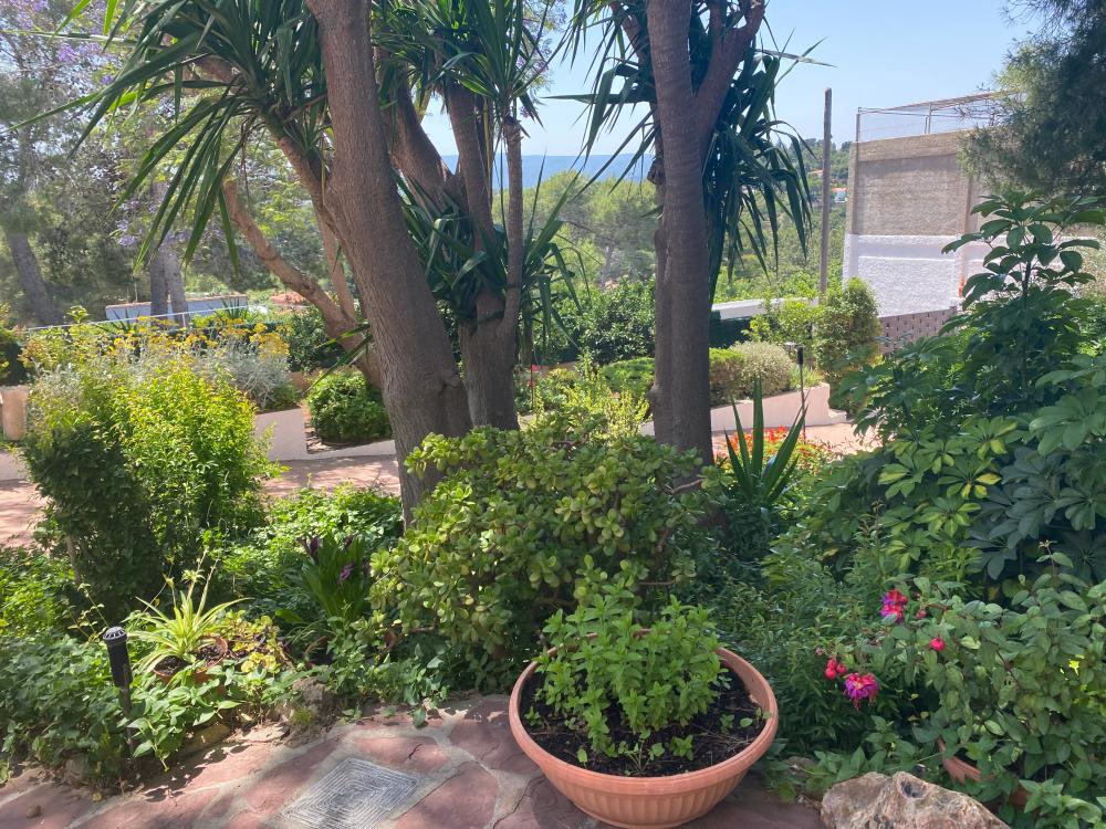  en venta chalet Montserrat Ribera Alta 6