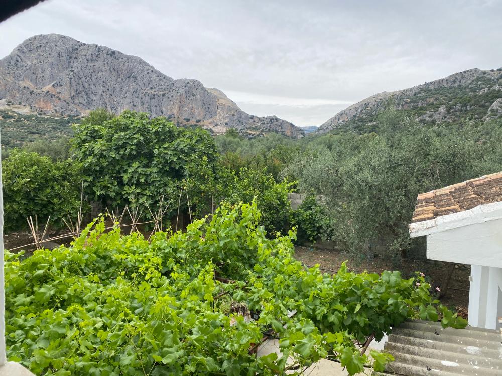  en venta pareado Alfarnatejo Axarquía 20