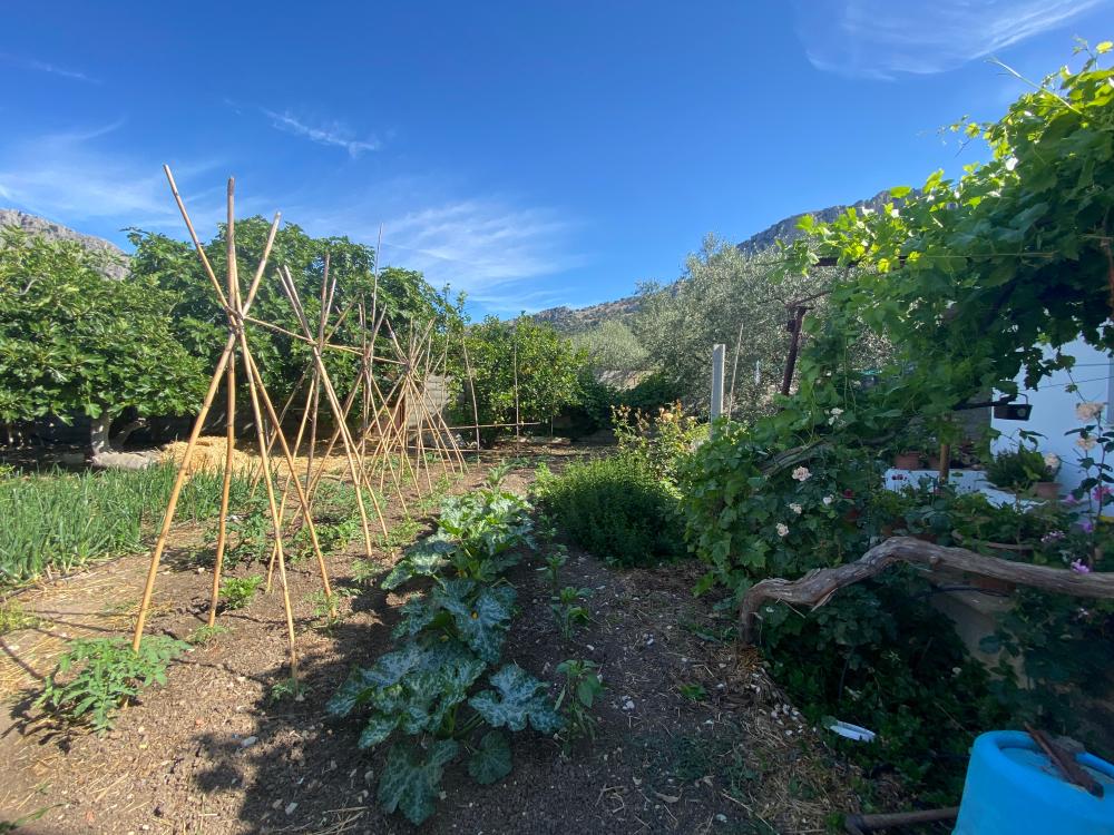  en venta pareado Alfarnatejo Axarquía 21