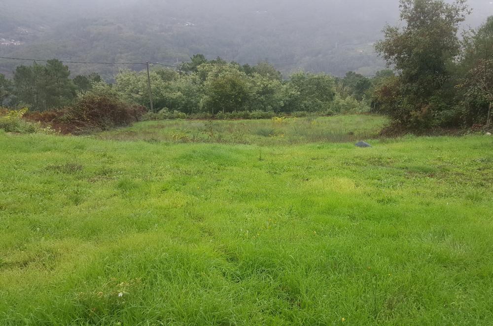 en venta casa Carracedo Ourense 6