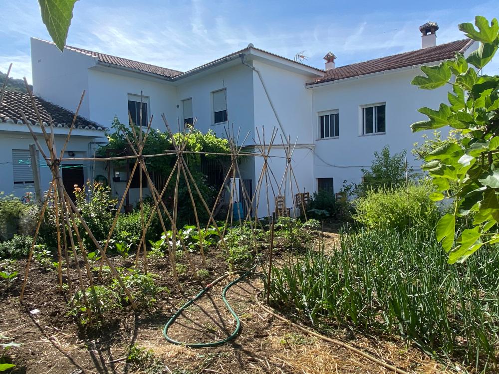  en venta pareado Alfarnatejo Axarquía 18