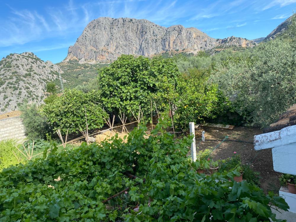  en venta pareado Alfarnatejo Axarquía 31