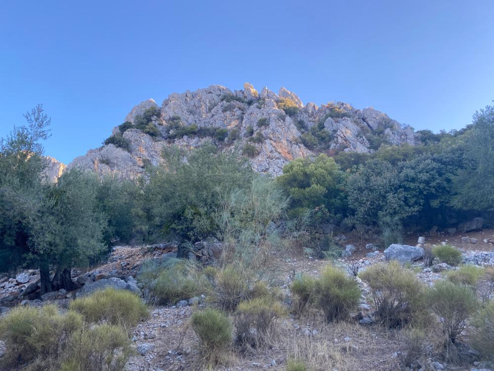  en venta pareado Alfarnatejo Axarquía 30