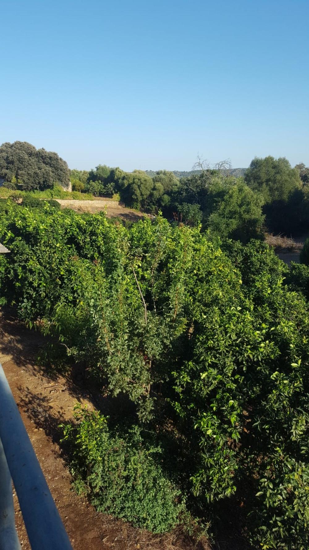  en venta chalet Hornachuelos Valle Medio Del Guadalquivir 9