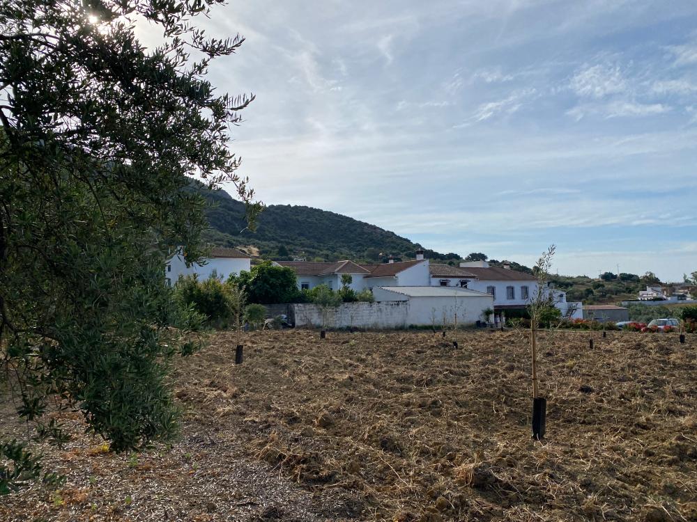  en venta pareado Alfarnatejo Axarquía 23