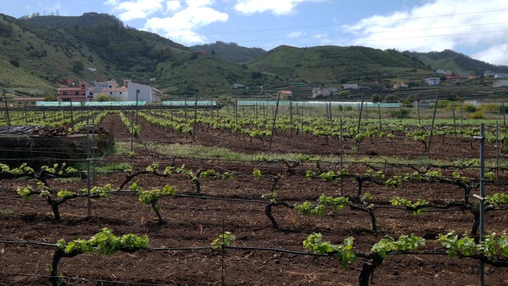 en venta finca rústica El Infierno Zona Metropolitana 3