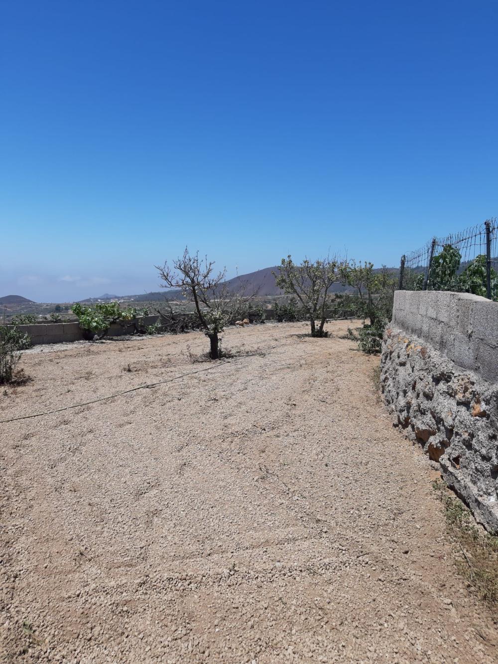  en venta finca rústica Cruz De Tea Zona Sur 1