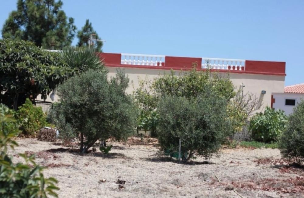 en venta finca rústica Cruz De Tea Zona Sur 10