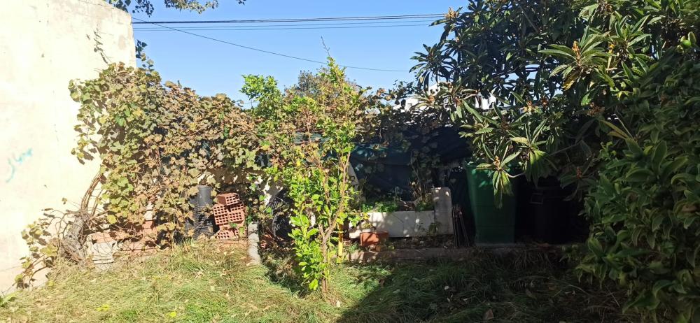  en venta finca rústica Foios Horta Nord 13