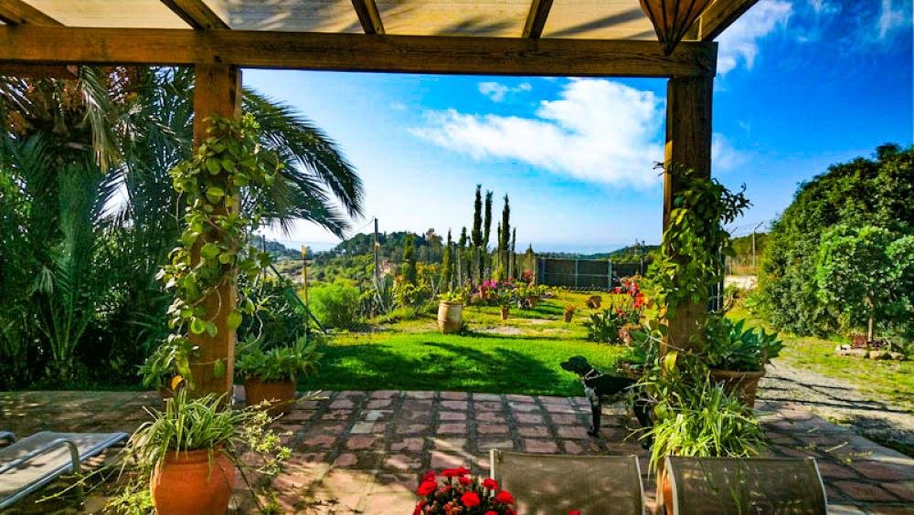  en venta finca rústica Estepona Costa Del Sol Occidental 3