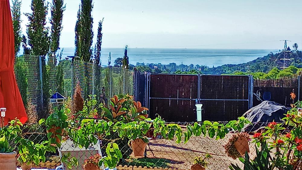  en venta finca rústica Estepona Costa Del Sol Occidental 21
