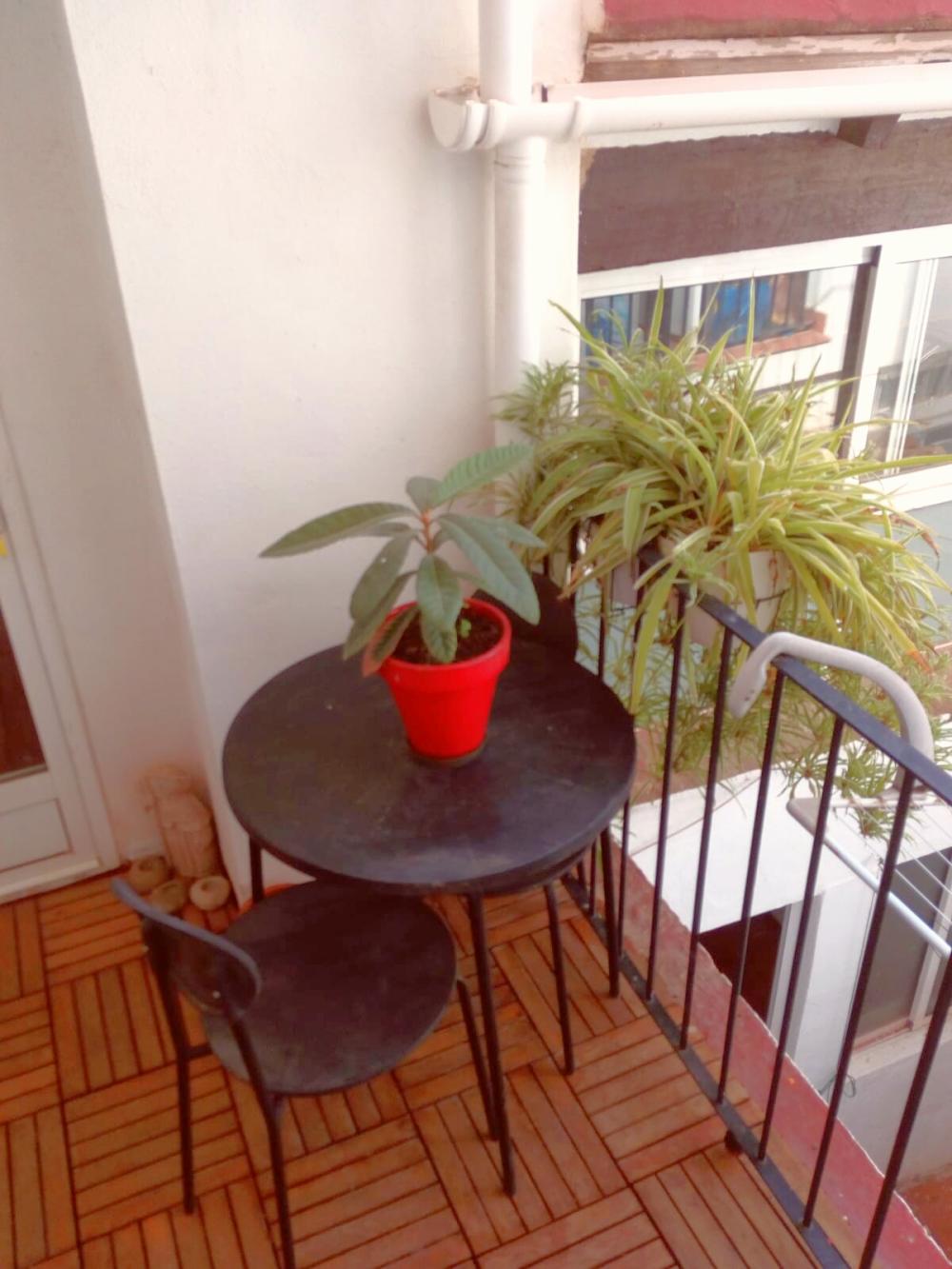  en venta estudio La Saida Sant Antoni Valencia 9