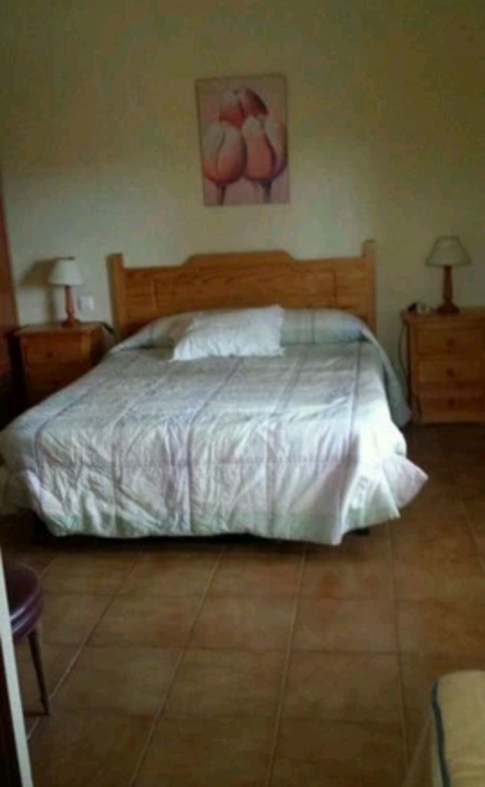  en venta chalet Campoamor Urb. Sierra Norte 5