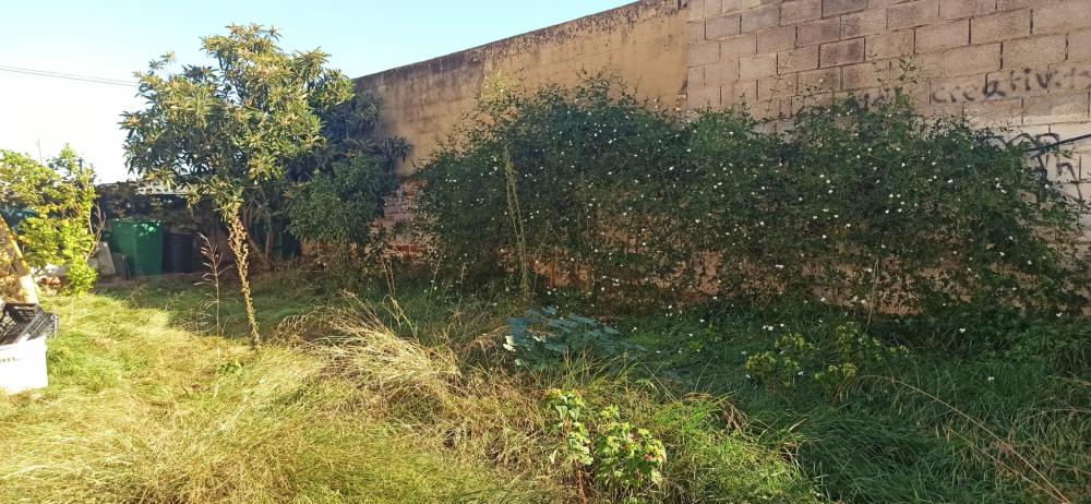  en venta finca rústica Foios Horta Nord 15