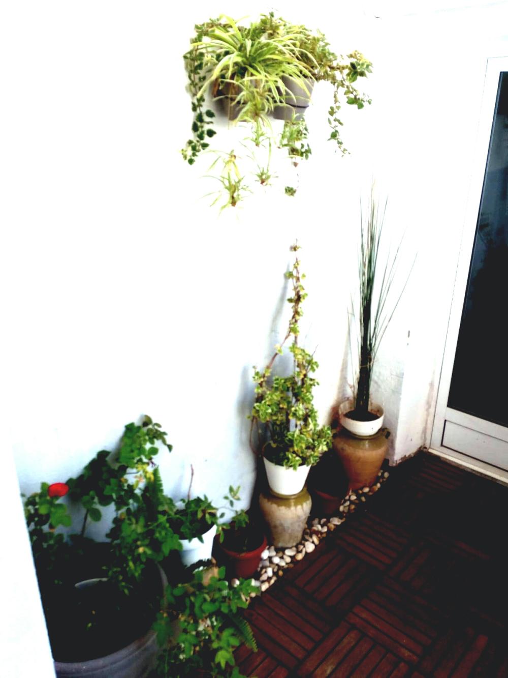  en venta estudio La Saida Sant Antoni Valencia 8