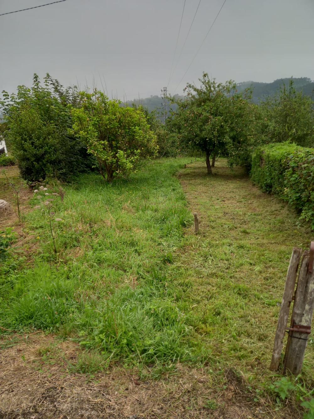  en venta casa San Feliz Gijón 8