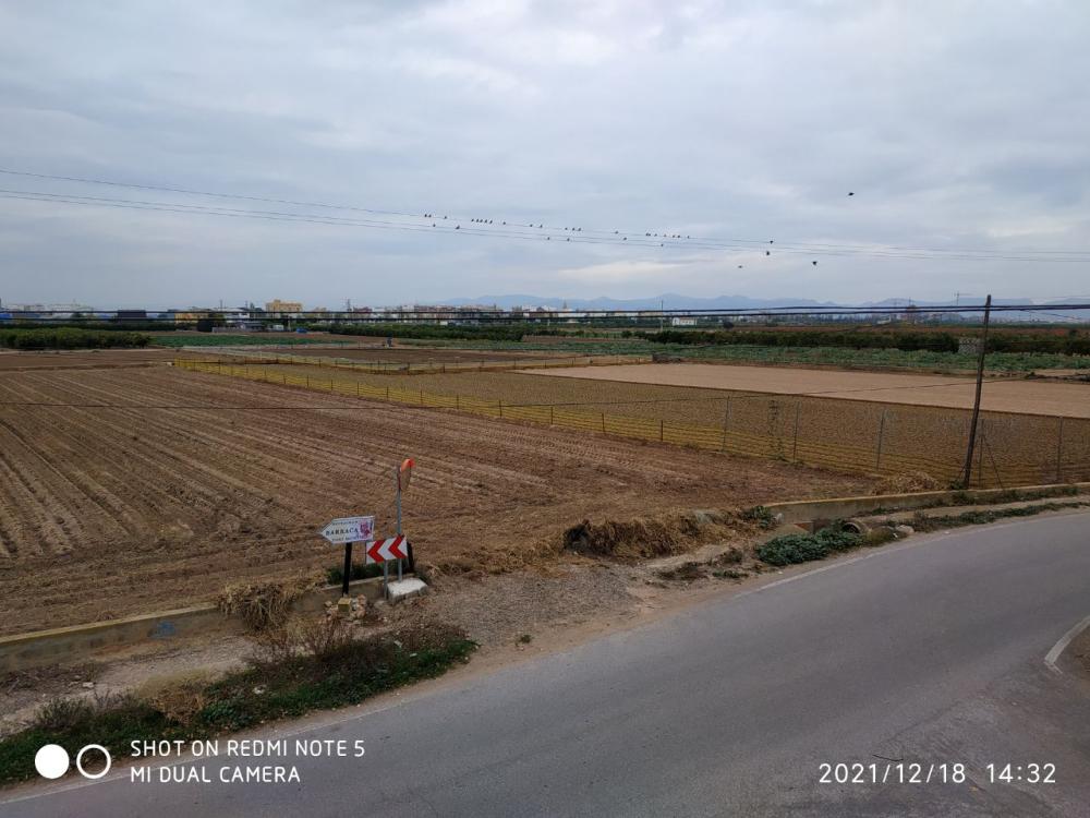  en venta finca rústica Foios Horta Nord 6
