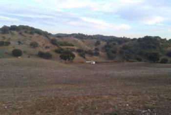 Coripe Campiña De Morón Y Marchena finca rústica foto 5125295