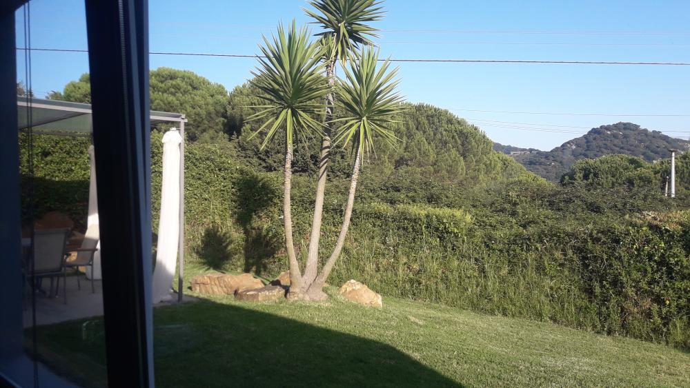  en venta terreno El Cuartón Campo De Gibraltar 7