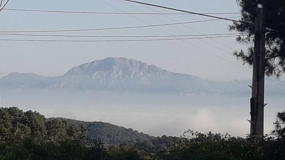 en venta terreno El Cuartón Campo De Gibraltar 1
