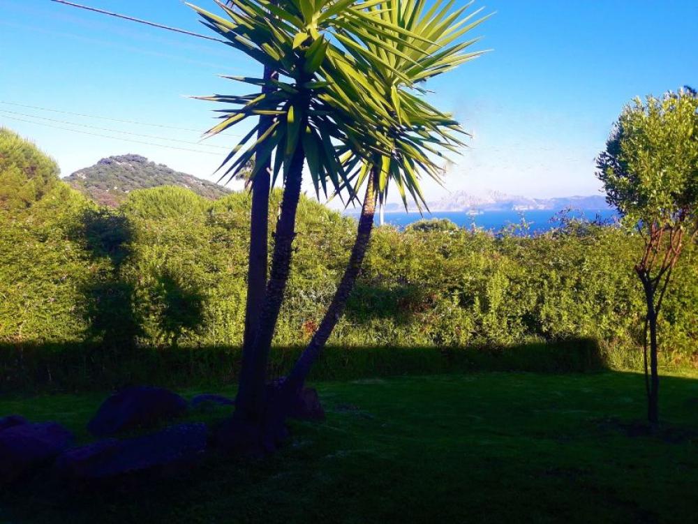  en venta terreno El Cuartón Campo De Gibraltar 4