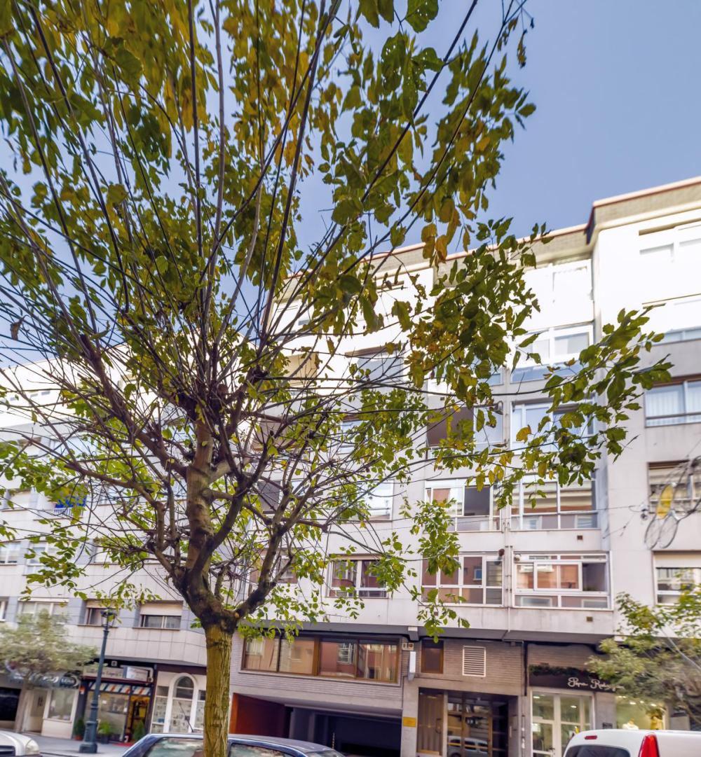  en venta apartamento O Carme Vigo 3