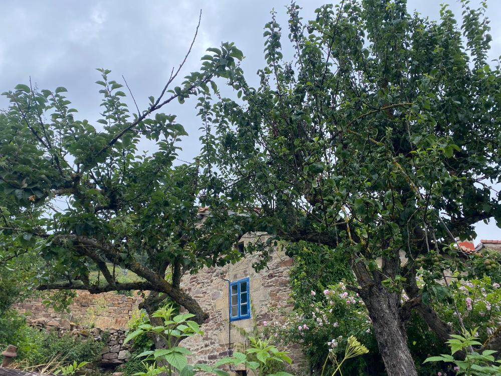  en venta casa Rebolledo Campoo-Los Valles 22