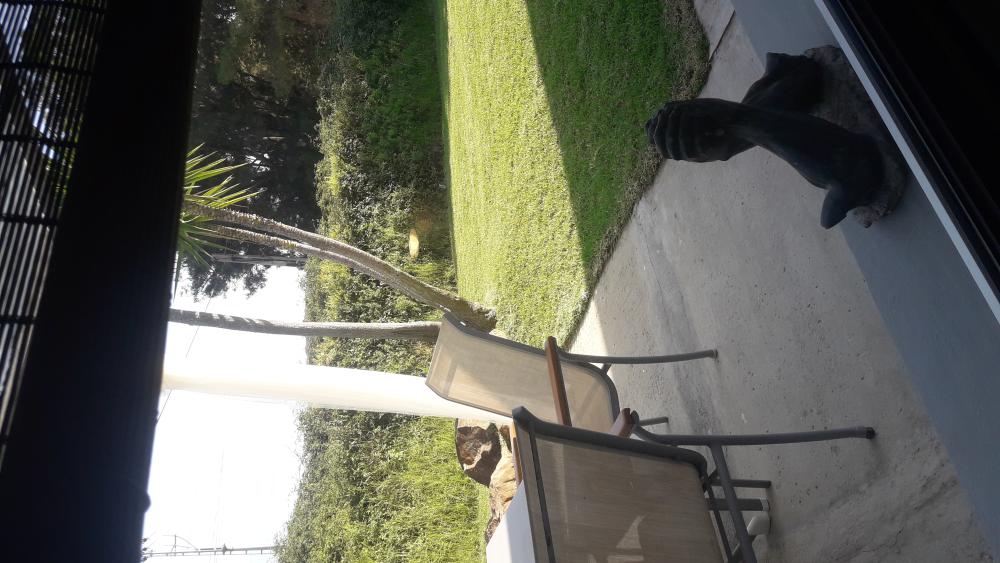  en venta terreno El Cuartón Campo De Gibraltar 23