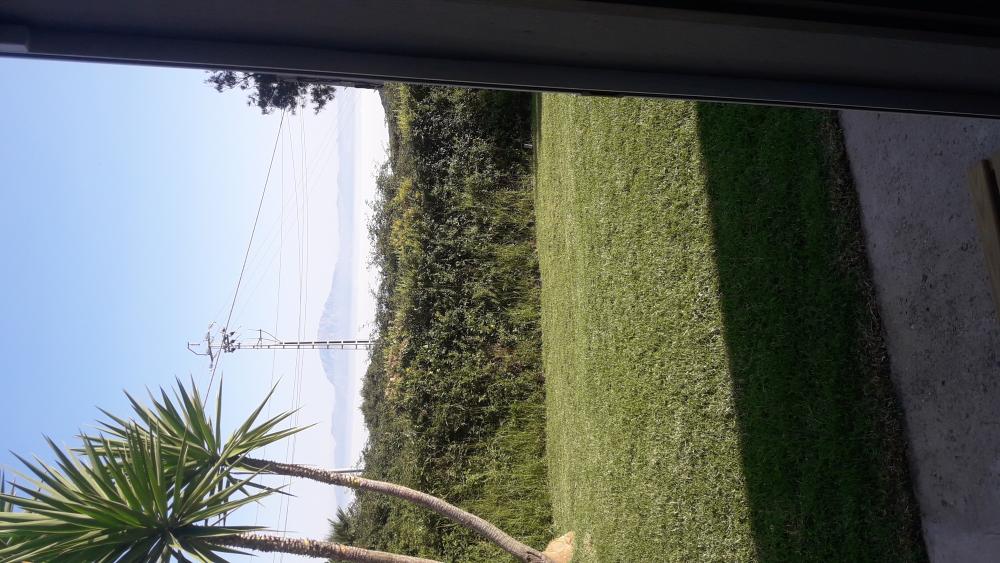  en venta terreno El Cuartón Campo De Gibraltar 6