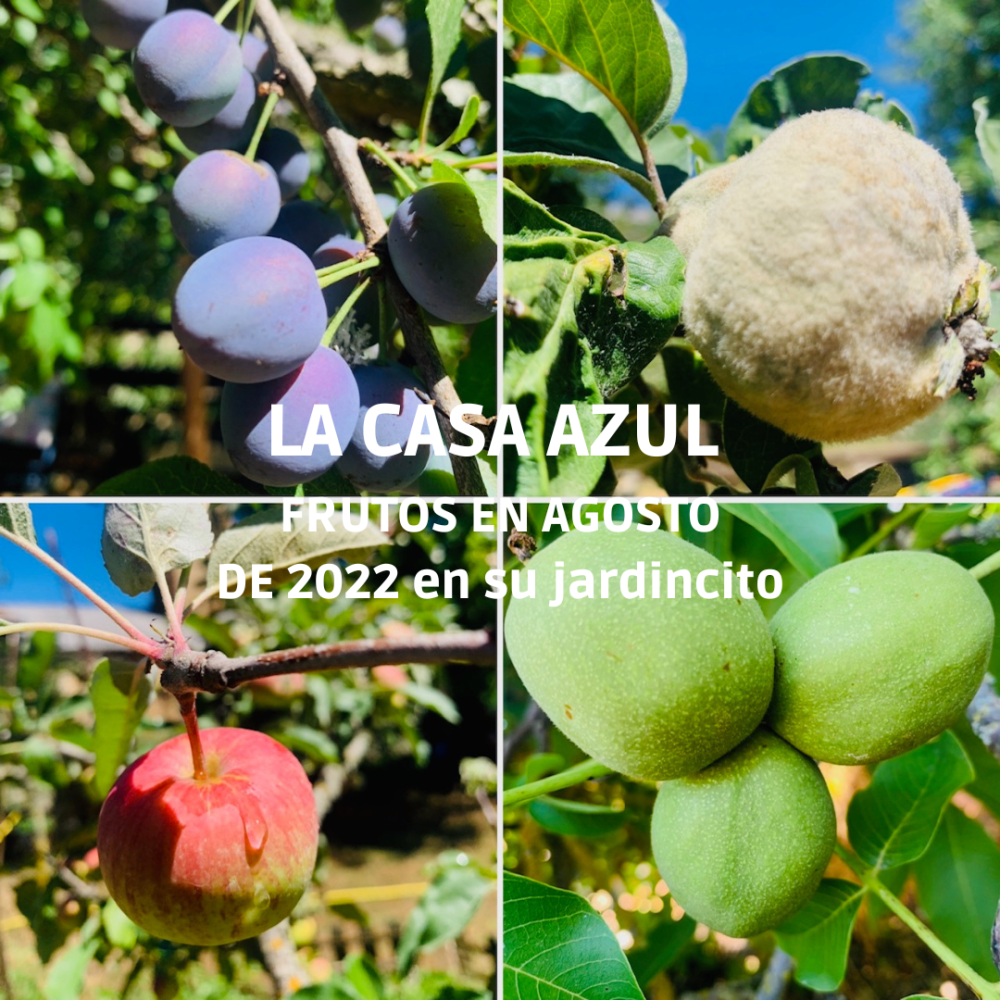  en venta casa Rebolledo Campoo-Los Valles 4