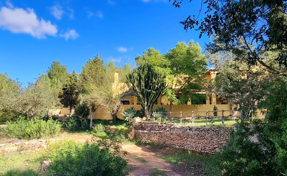  en venta finca rústica Sant Rafel De Sa Creu Sant Antoni De Portmany 14