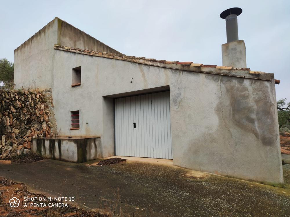  en venta finca rústica Camarles Baix Ebre 3