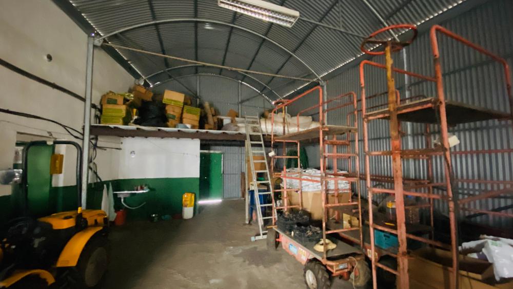  en venta finca rústica San Nicolás De Tolentino Área Oeste 1