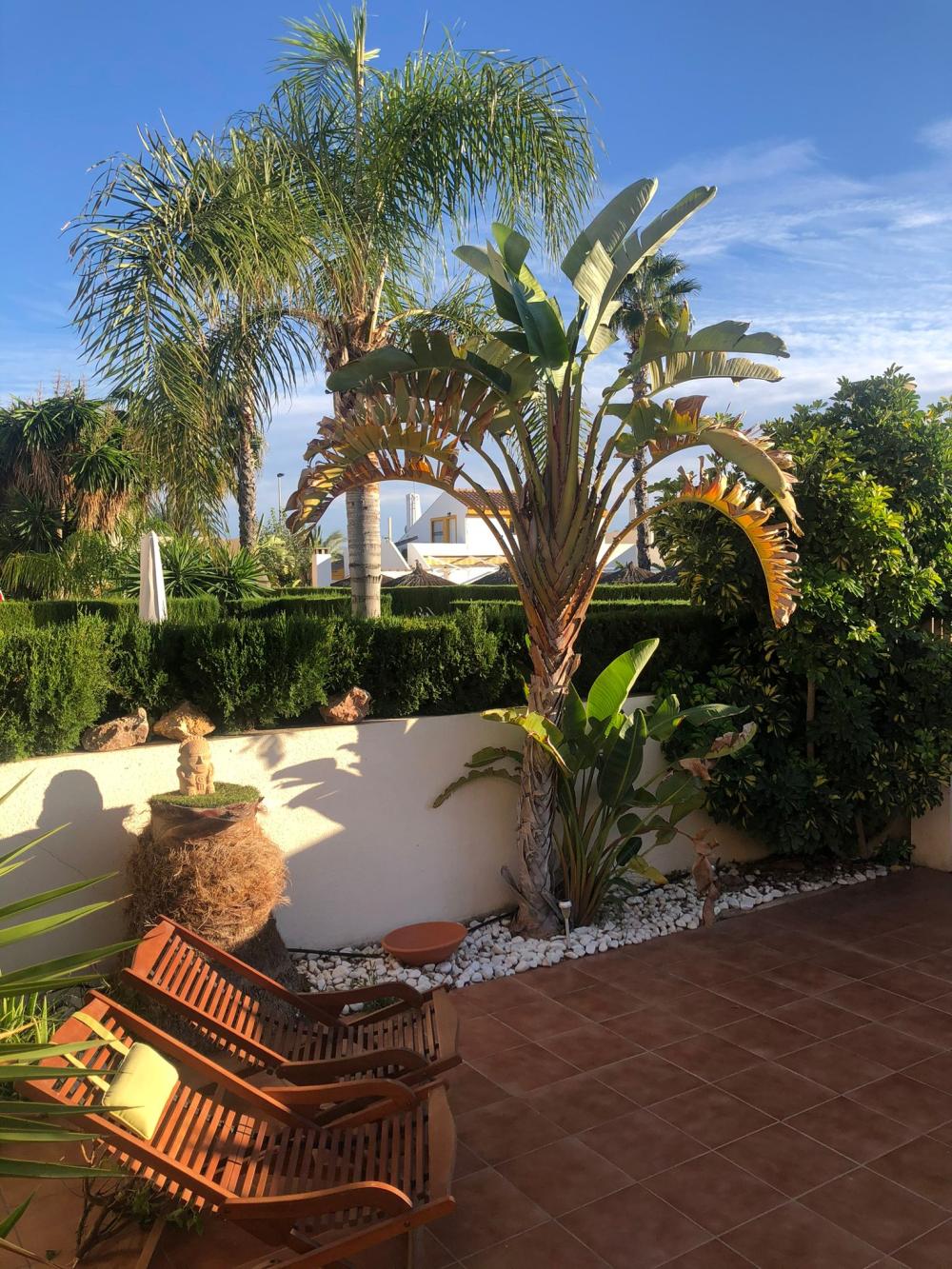  en venta dúplex Torre De La Horadada Baix Segura 5