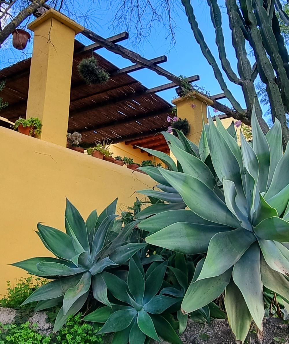  en venta finca rústica Sant Rafel De Sa Creu Sant Antoni De Portmany 6