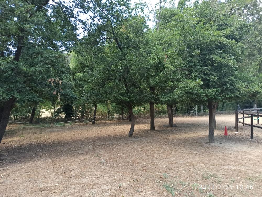  en venta finca rústica Folgars De La Selva Maresme 2