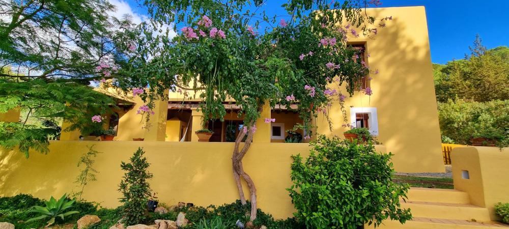  en venta finca rústica Sant Rafel De Sa Creu Sant Antoni De Portmany 4