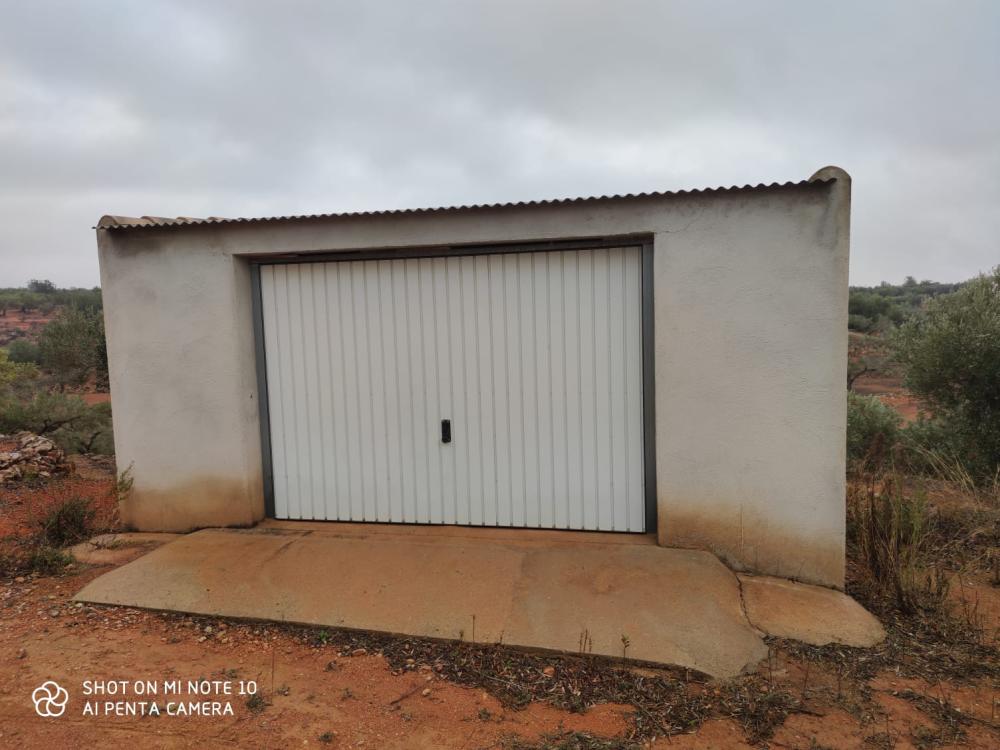  en venta finca rústica Camarles Baix Ebre 4