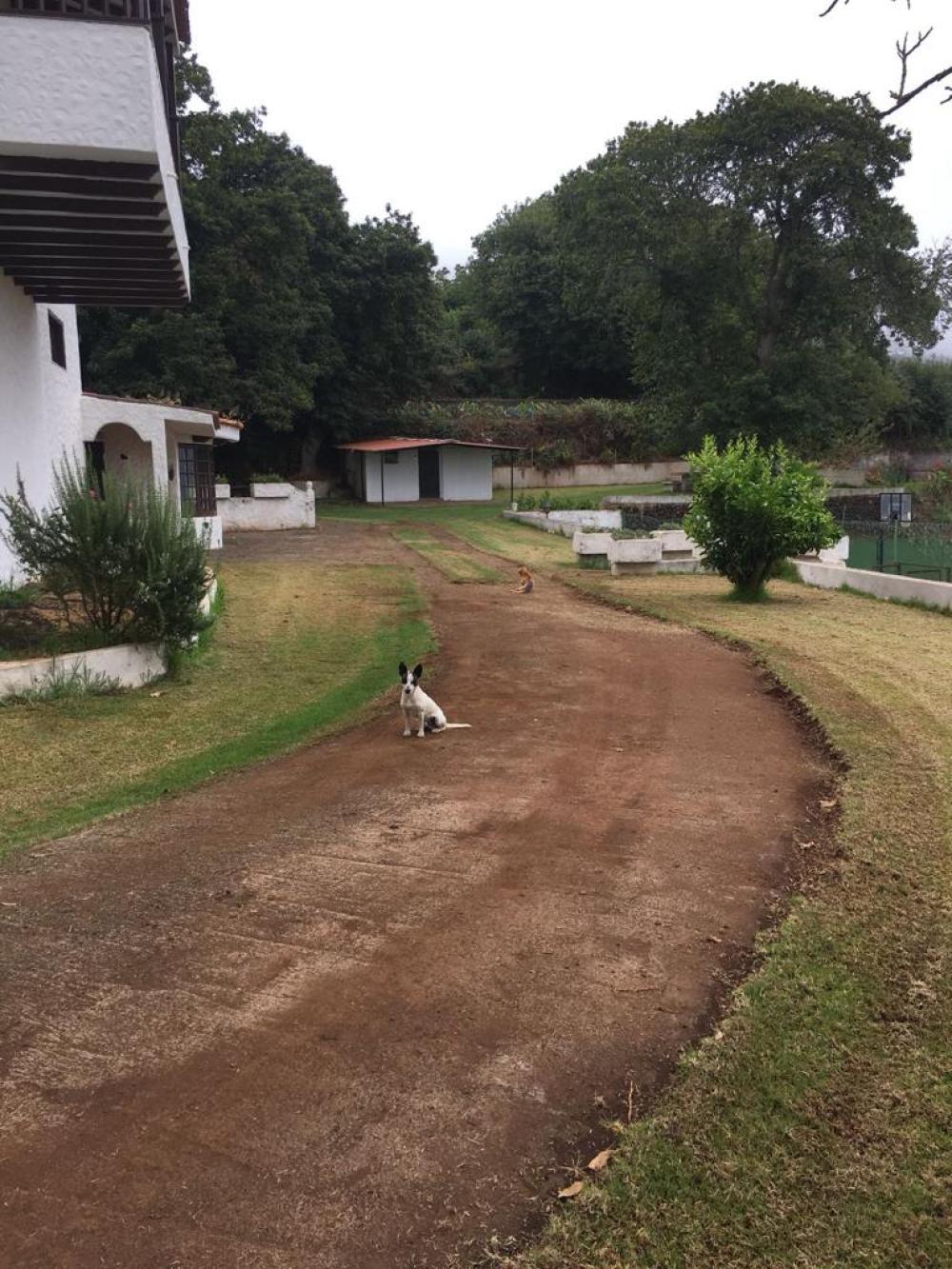  en venta chalet La Matanza De Acentejo Zona Norte 7