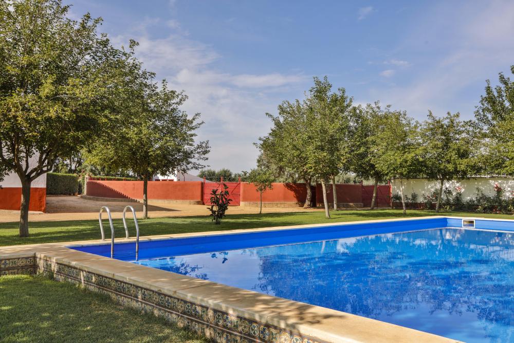  en venta chalet Carmona Campiña De Carmona 12