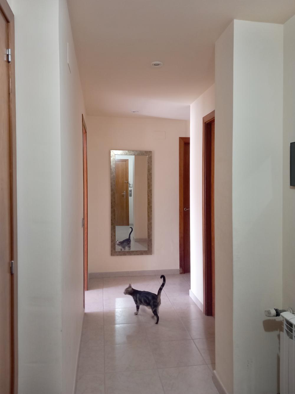  en venta dúplex Canet De Mar Maresme 3