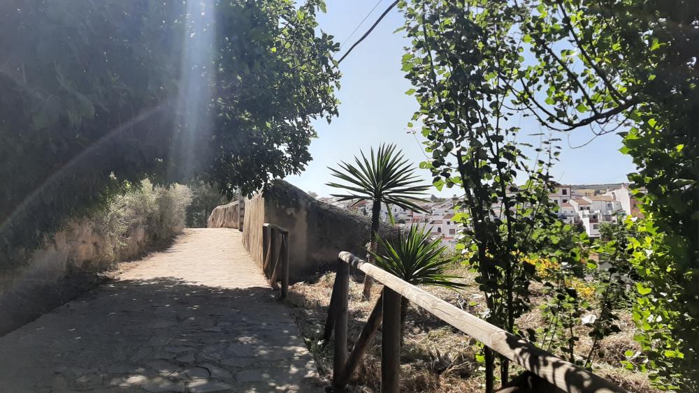  en venta casa Arriate Serranía De Ronda 15