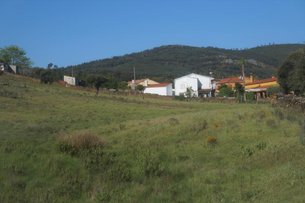  en venta finca rústica La Codosera Alburquerque 4