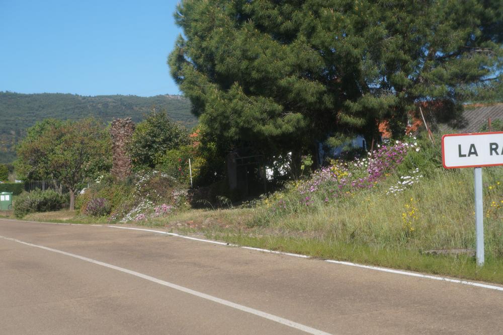  en venta finca rústica La Codosera Alburquerque 5