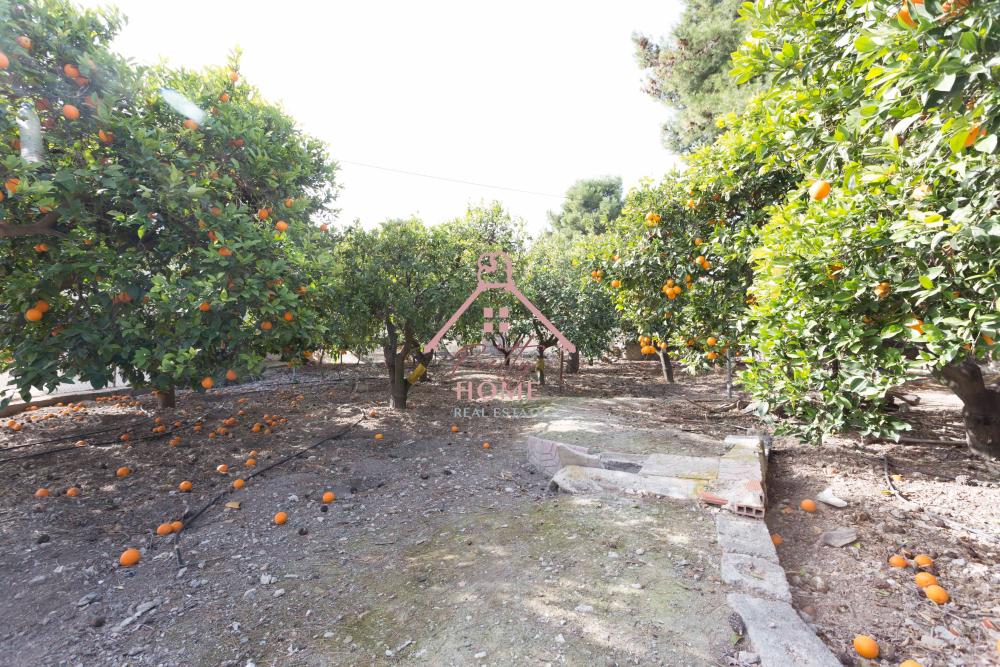  en venta planta baja La Majada Bajo Guadalentín 4