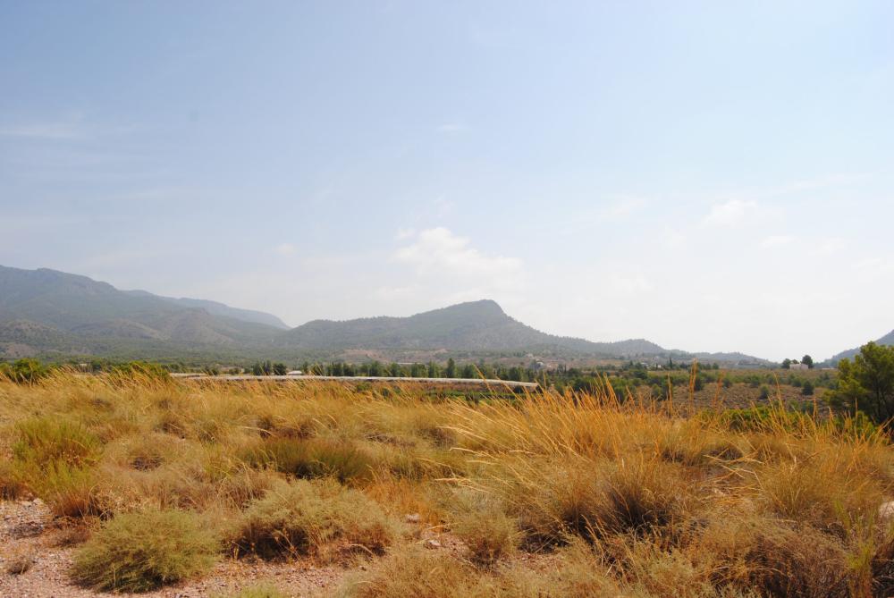  en venta chalet Aledo Bajo Guadalentín 34
