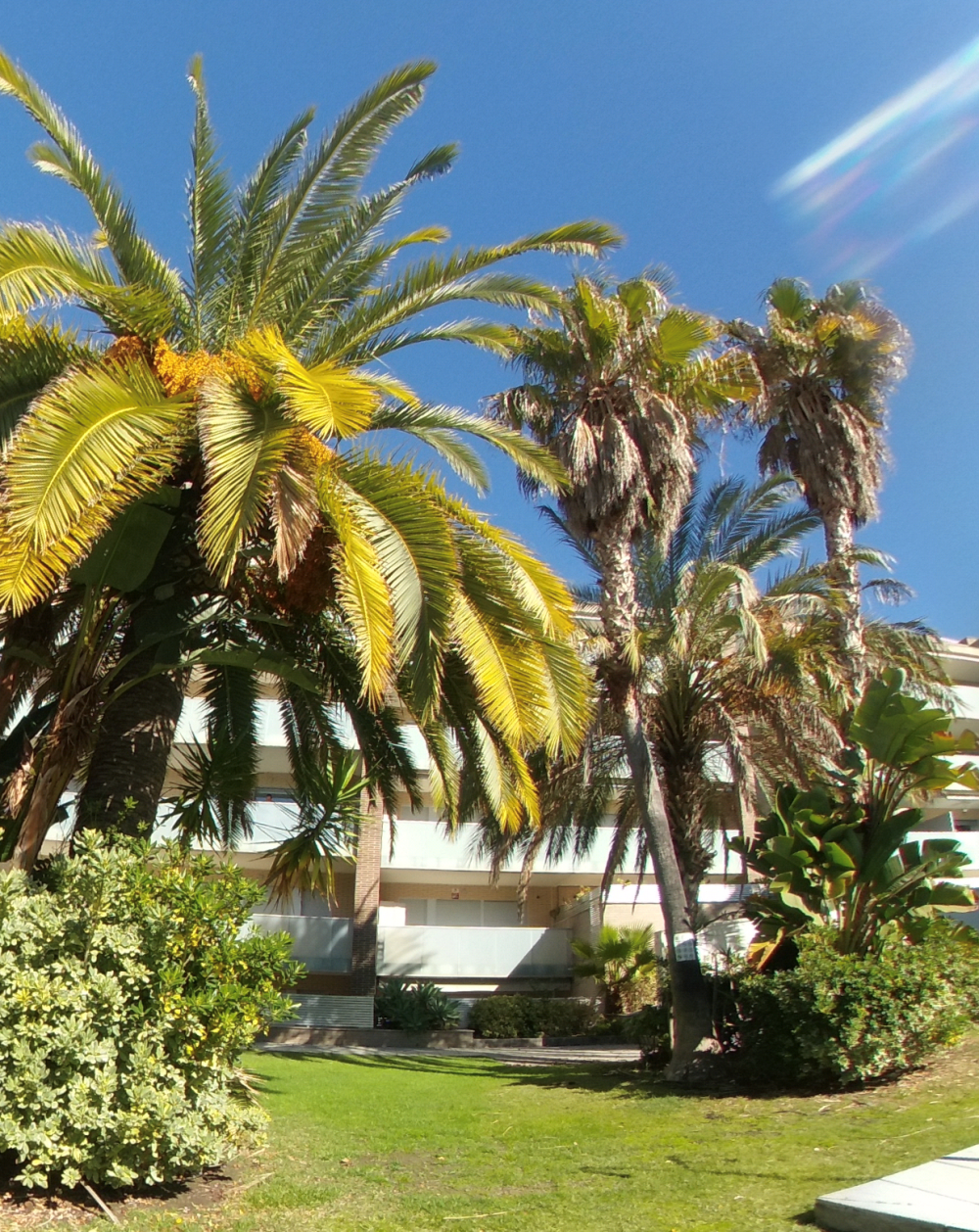  en venta apartamento Salou Tarragonès 26