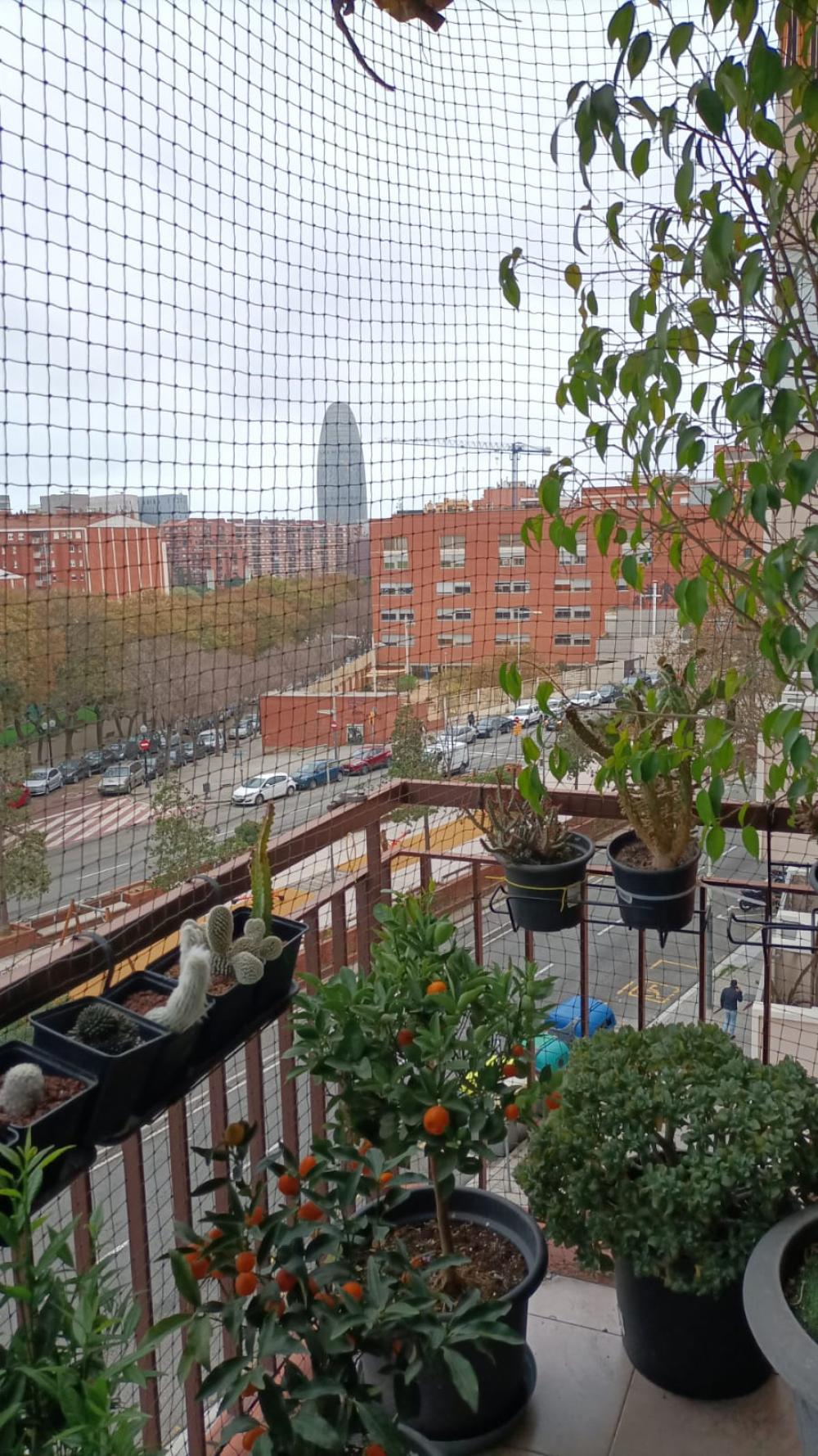  en venta apartamento Sant Martí-El Clot Barcelonès 5